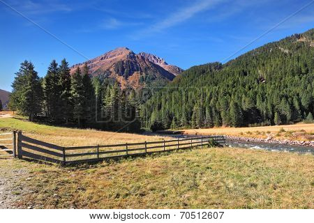 The picturesque mountain valley. Rapid stream, dense coniferous forest and farm fence light. National Park Krimml 