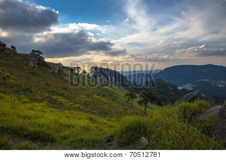 Landscape