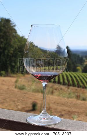 Wine tasting at the Oregon Vineyard
