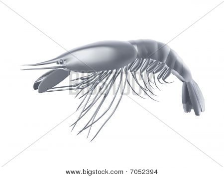 Gamberi d'argento