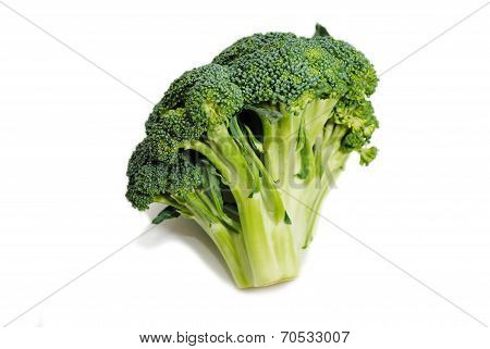 Ripe Organic Broccoli Crown Isolated On White