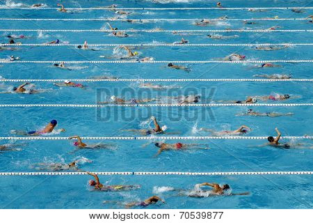 Competition swimming pool crowded of swimmers training