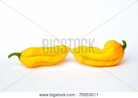 Fatalii Chili Pepper Isolated On A White Background