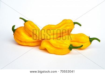 Fatalii Chili Pepper Isolated On A White Background