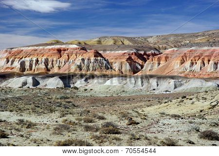 Landscape in Patagonia