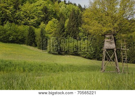 Hobby Hunting: Animal Observation Tower In The Forest.