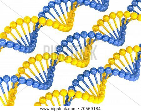 Yellow Blue Dna Molecule