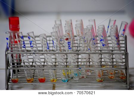 Test Tube