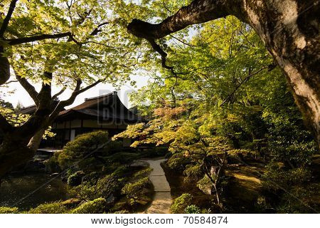 A wide variety of trees and greenery in the Japanese garden of Ginkakuji Temple.