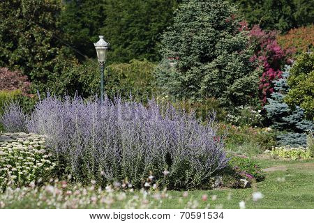 Ornamental Garden