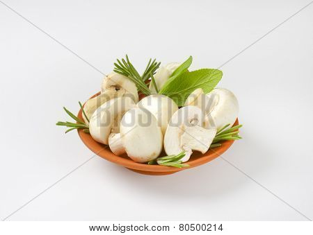 smooth white mushrooms with herbs, in the bowl