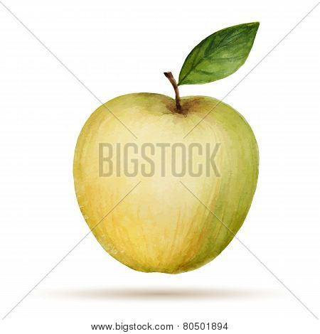Watercolor Apple
