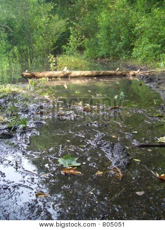 Blátivé jezero 