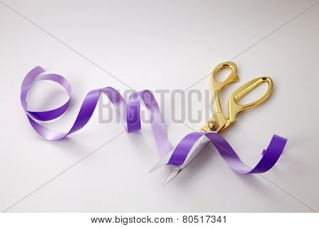 cutting purple ribbon -open ceremony concept