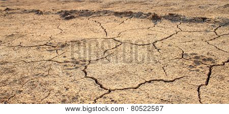 Cracked Waterless Ground. Natural Disasters