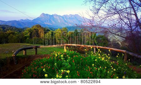 doi luang chiang dao mountain at chiangmai thailand