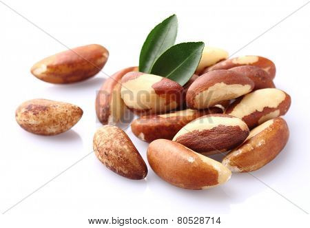 Bertholletia.Brazil nuts.
