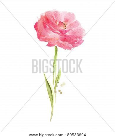 Watercolor flowers background