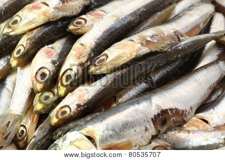 many genuine raw anchovies ready to Cook