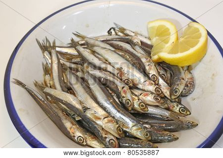 Dish With Anchovies And Two Slices Of Lemon