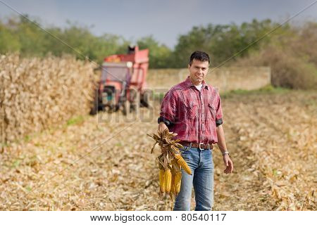 Man On Corn Field
