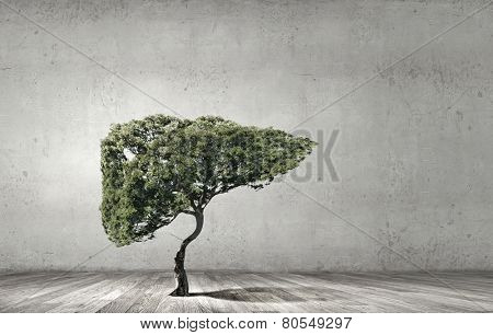 Conceptual image of green tree shaped like human liver