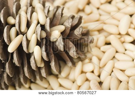 clean pine nuts