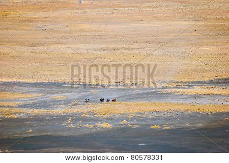 Group Of Horse Ridders At Bromo Plateau, Indonesia