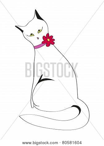 Cat sitting by a back