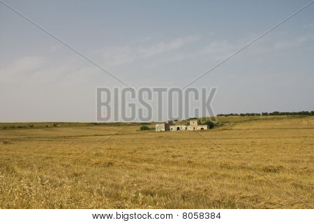 Zemanský dvůr