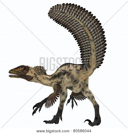 Deinonychus Dinosaur