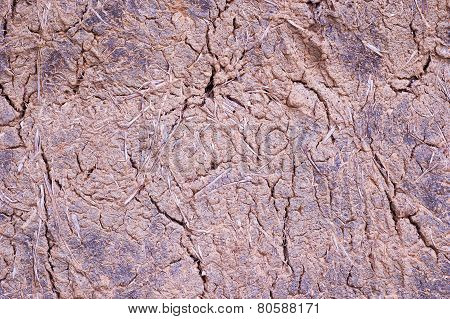 Loam Wall's Rough Surface (texture, Background)