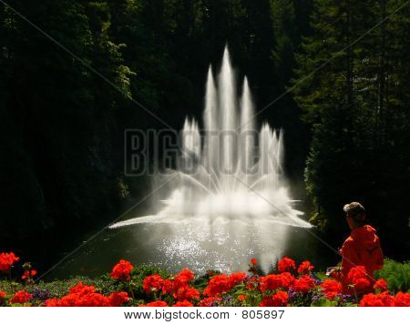 backilitfountainBS