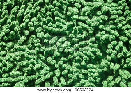 Green Cleaning Feet Doormat Or Carpet Texture