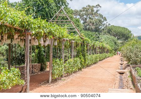 Formal Garden On A Farm