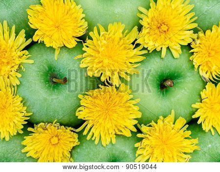 Green apple and dandelion