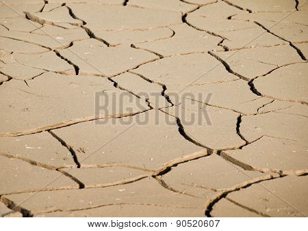 Dried and cracked earth in the desert