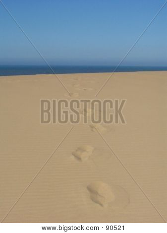 Footprints On The Sand