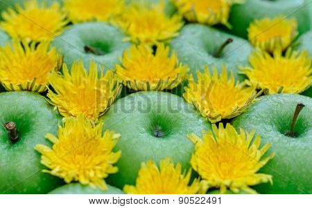 Green apple and dandelion
