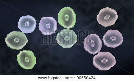 Bad Virus Cell Closer