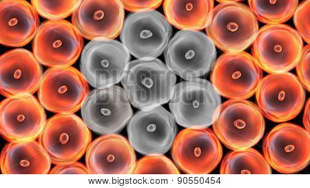 Many of virus cells affecting the health cells inside the body
