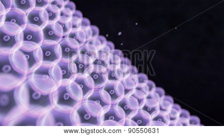 Purple Cells Circle Arrange To Wall