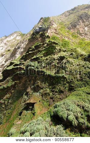 Sumidero