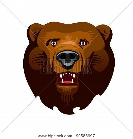 Kodiak Bear