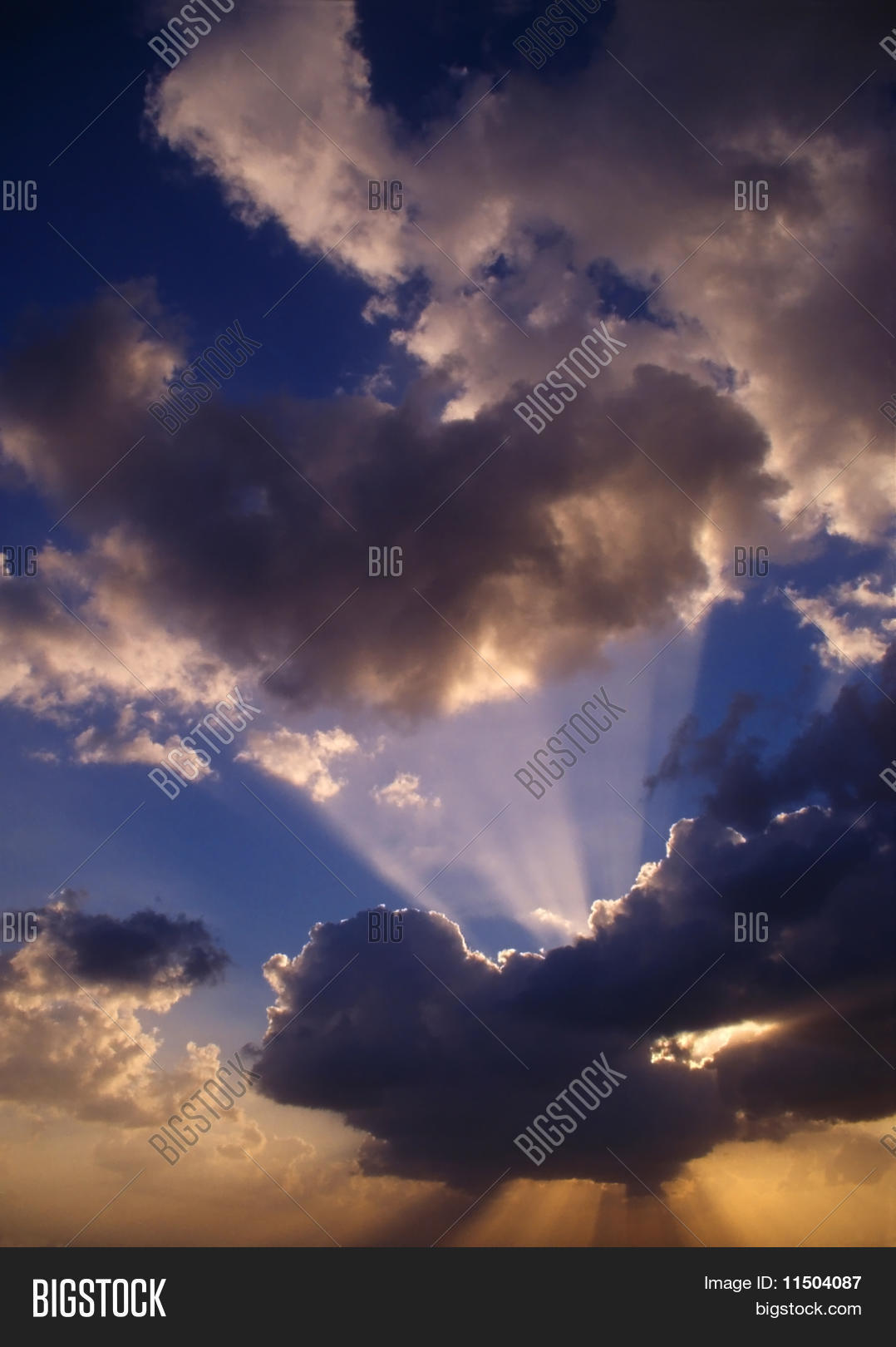 Image Preview