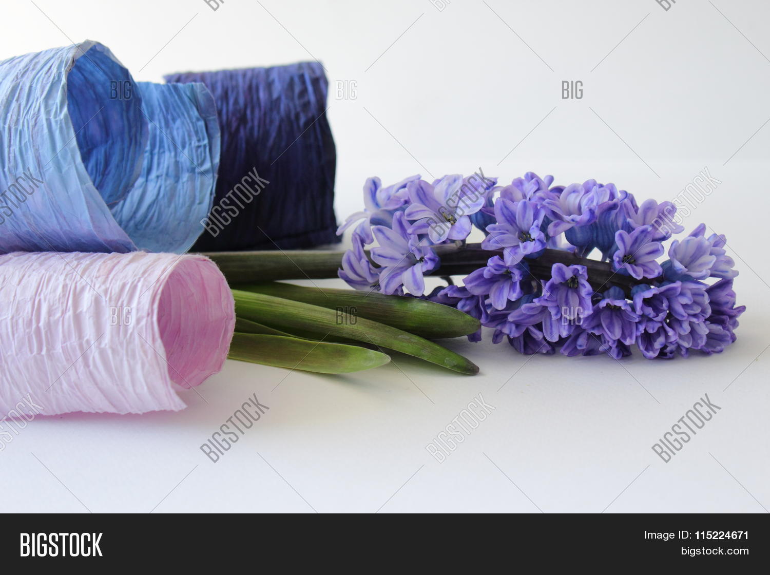 Image Preview