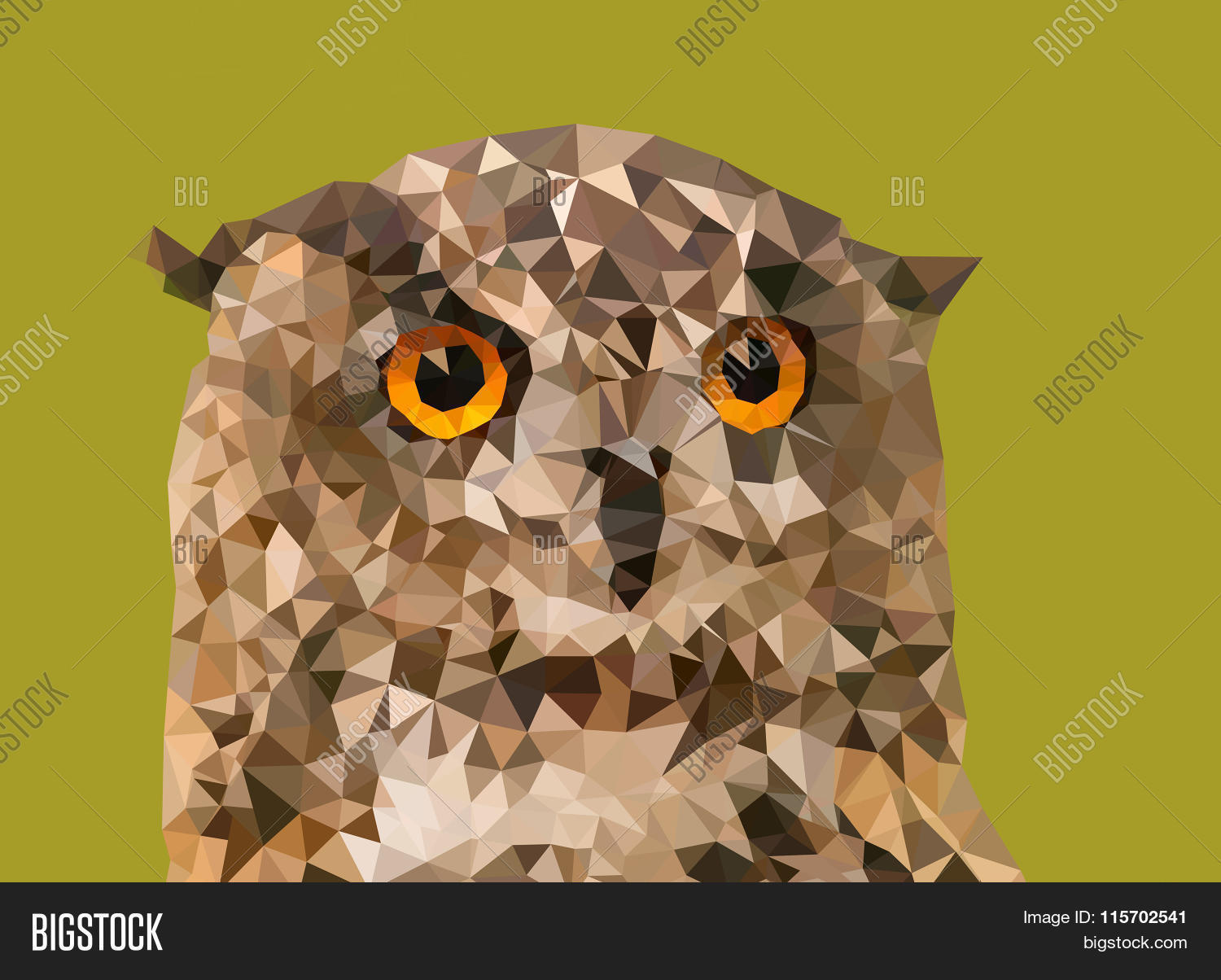 Image Preview