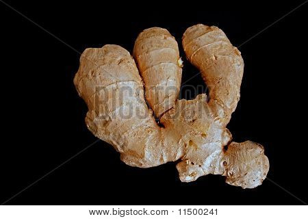 블랙 gingerroot