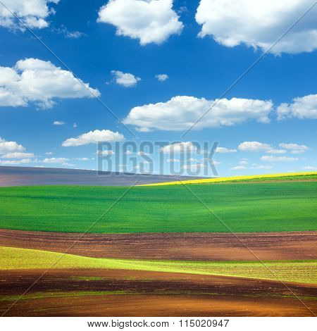 Amazing Abstract Colorful Fields and Sky Background - beautiful nature landscape, idillyc waves of hills, wallpaper