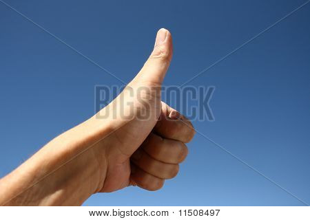최고 등급